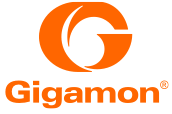 Gigamon Traffic Intelligence